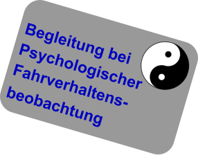 Begleitung bei Psychologischer Fahrverhaltens- beobachtung